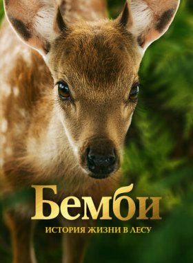 Бемби. История жизни в лесу