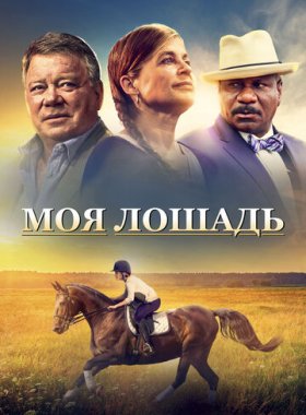 Моя лошадь